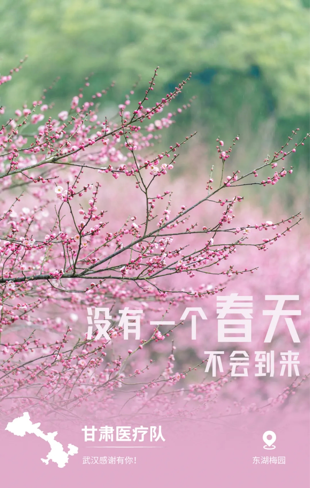 1585036737.jpg 640.webp (7).jpg